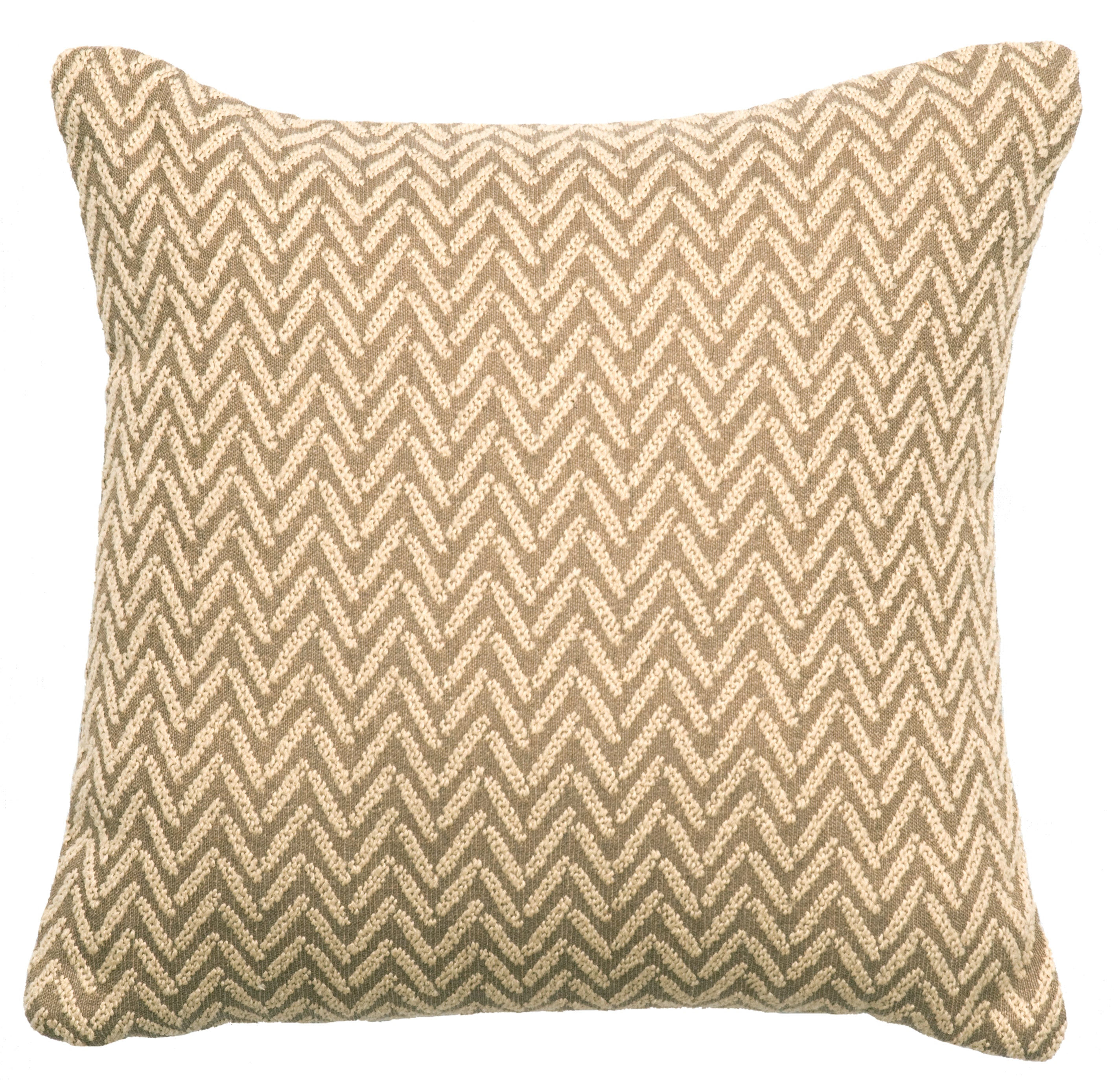 Mountain Storm Decor Pillow - 16x16