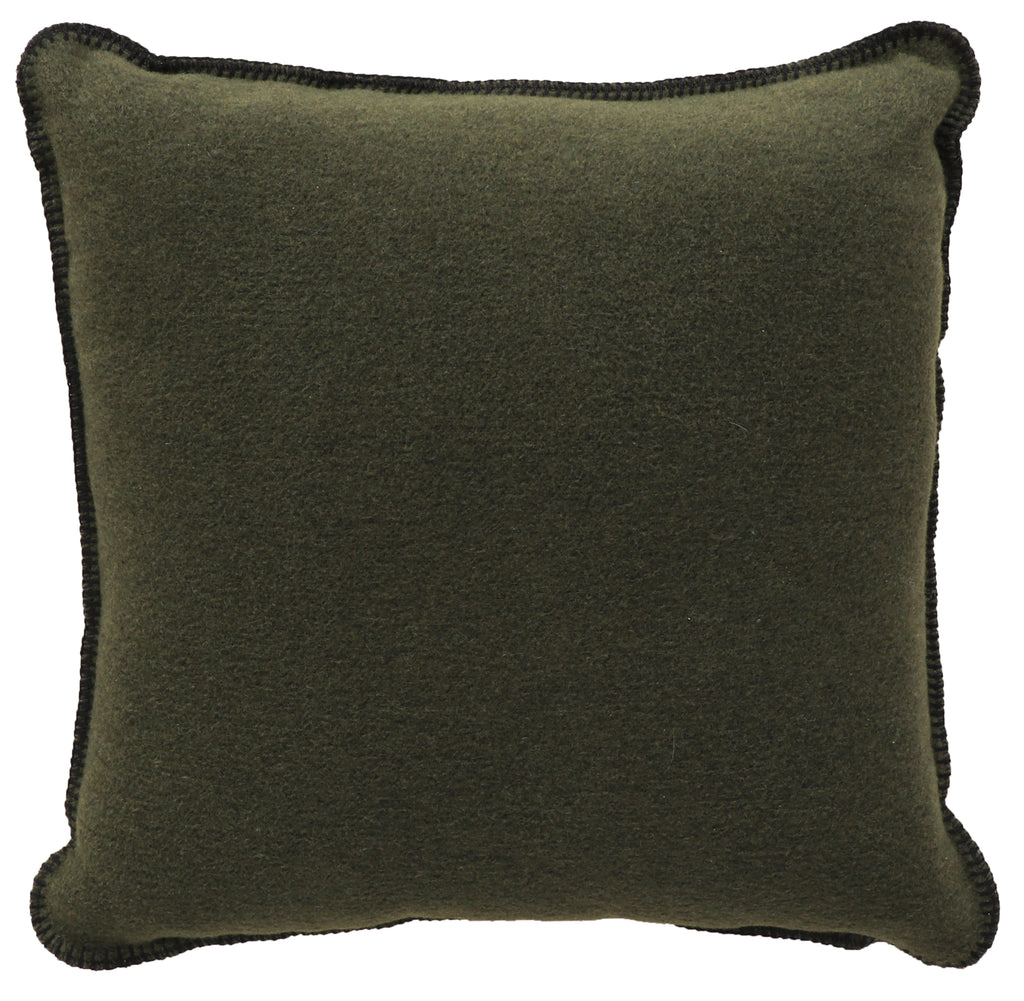 Solid Sage Pillow - 20x20