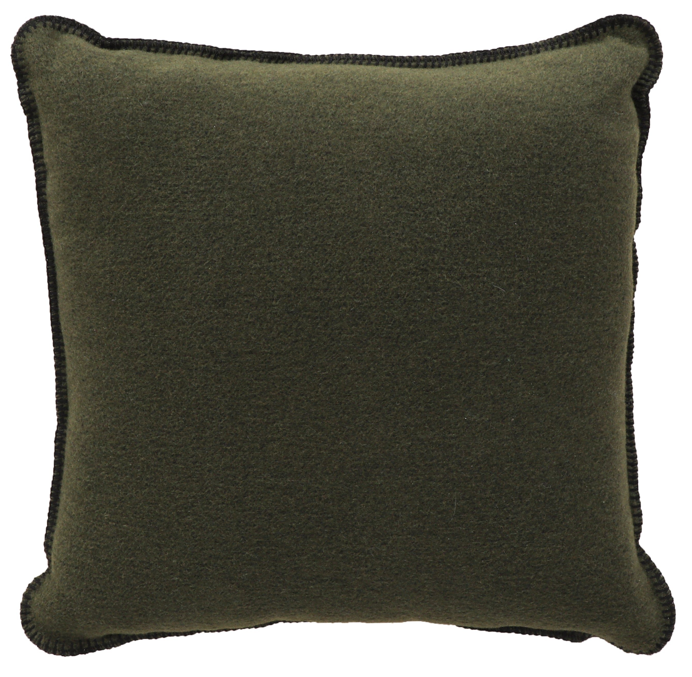 Solid Sage Pillow - 20x20