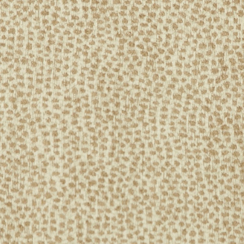 Fabric material swatch