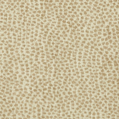 Fabric material swatch