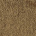 Fabric material swatch