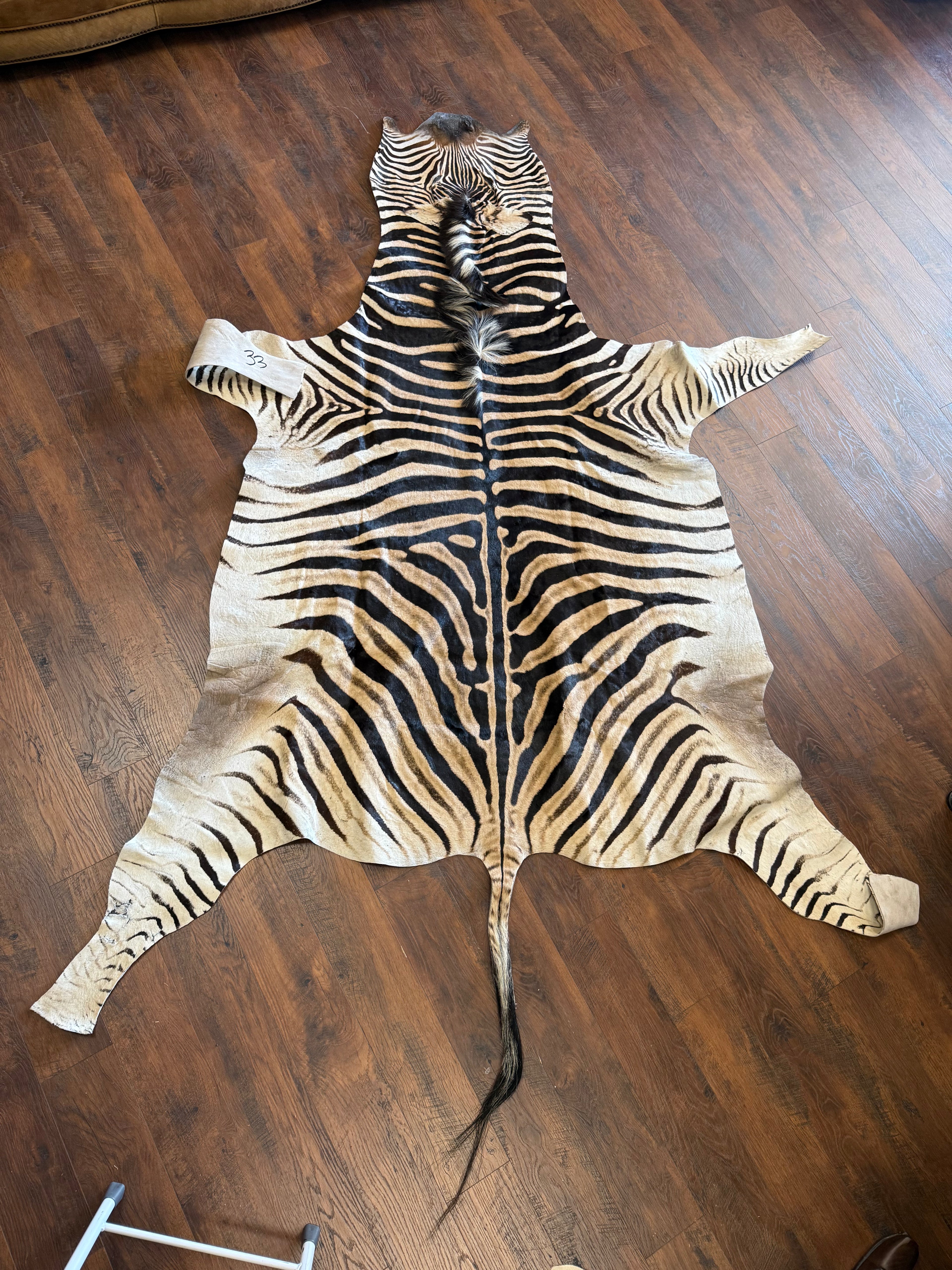 Zebra Hide 33