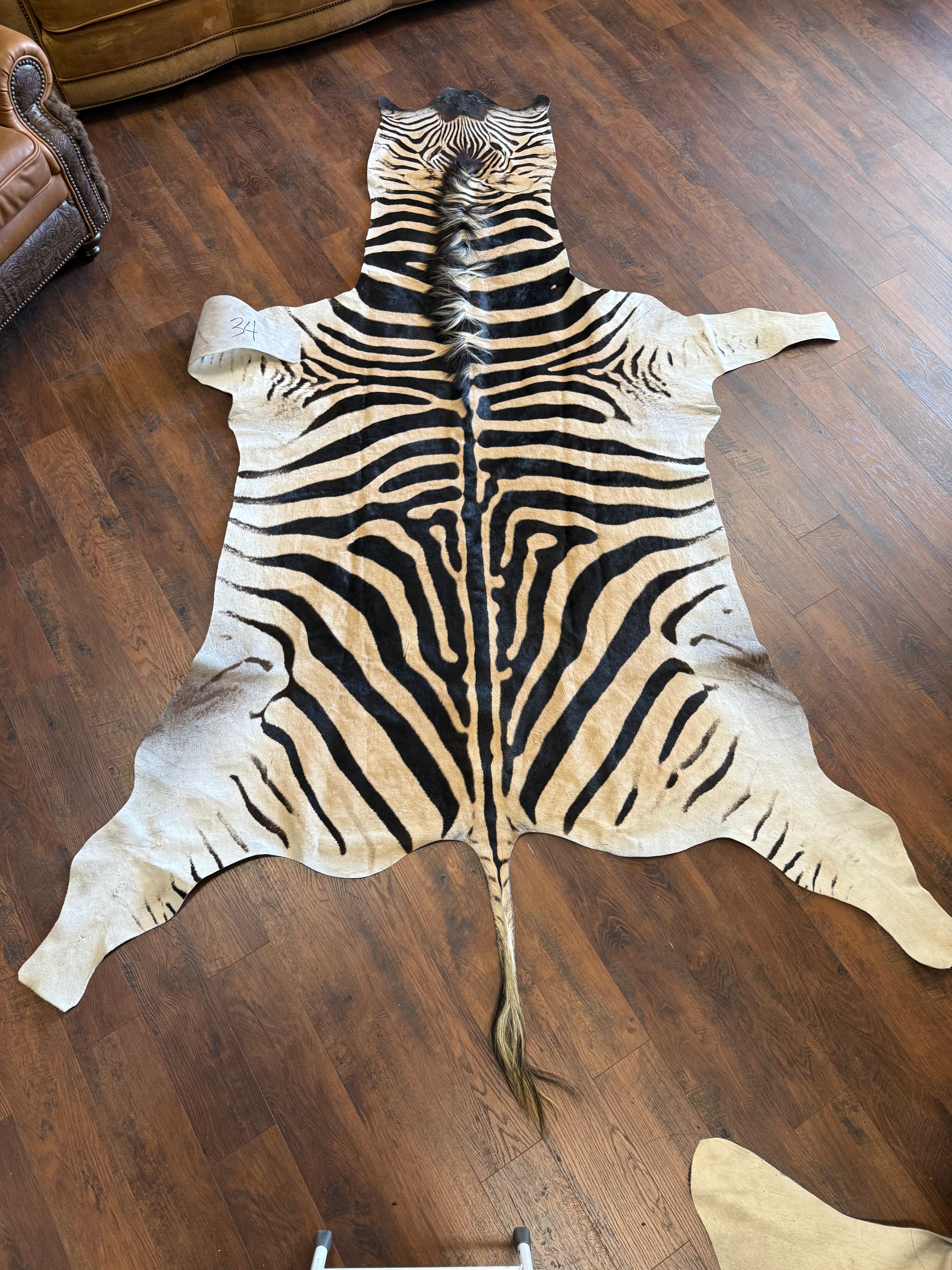 Zebra Hide 34