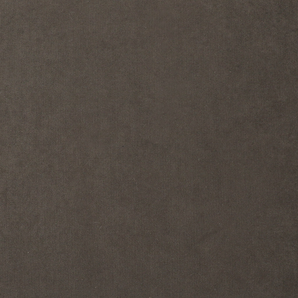 Backcountry Ashen Fabric