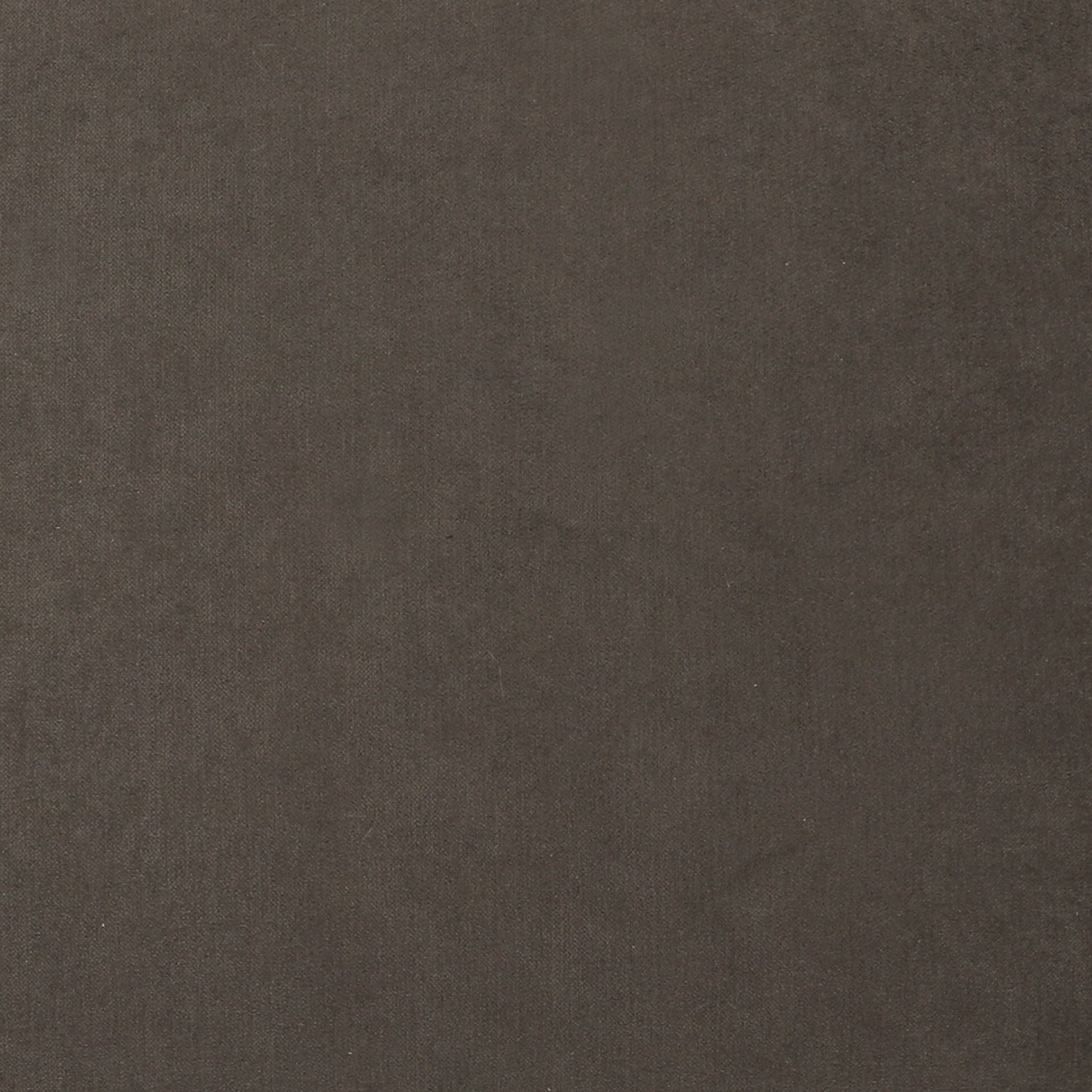 Backcountry Ashen Fabric