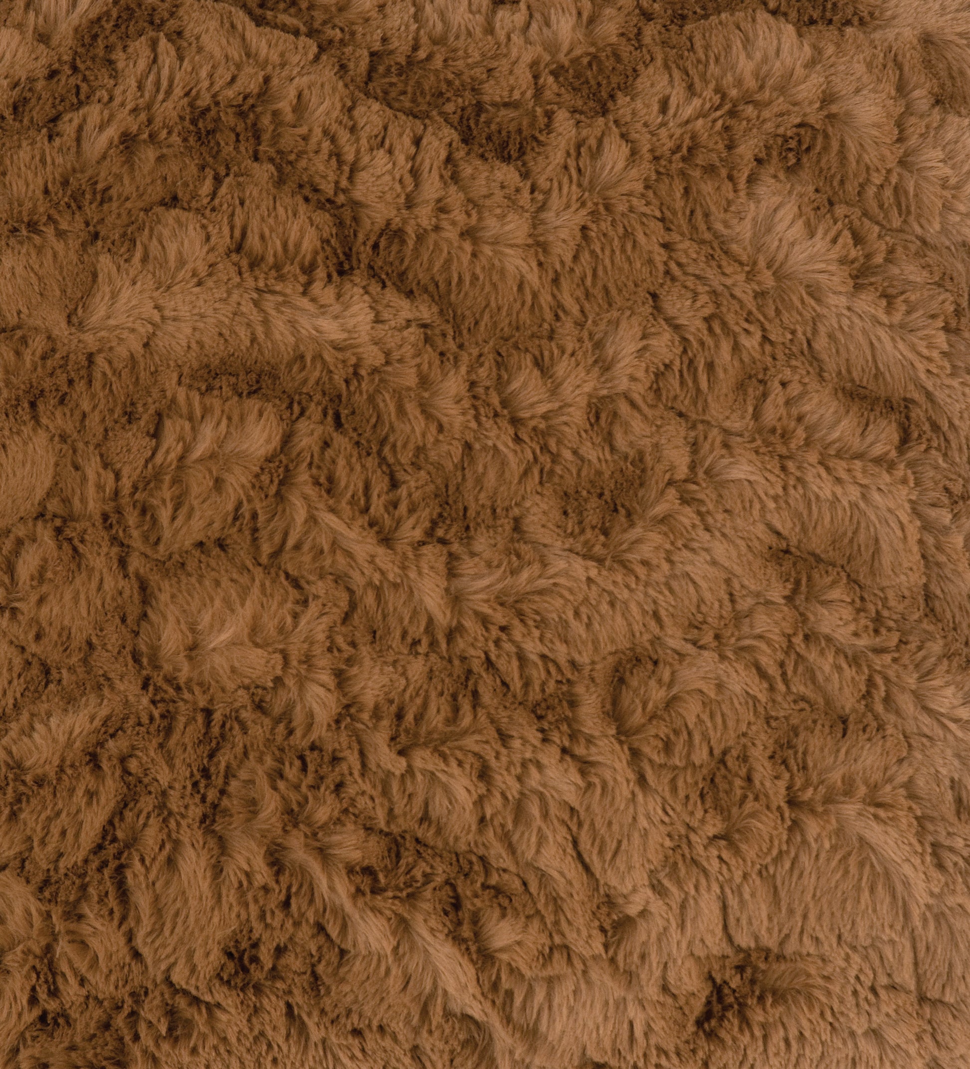 Bella Fabric