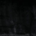 Black Bear Fabric