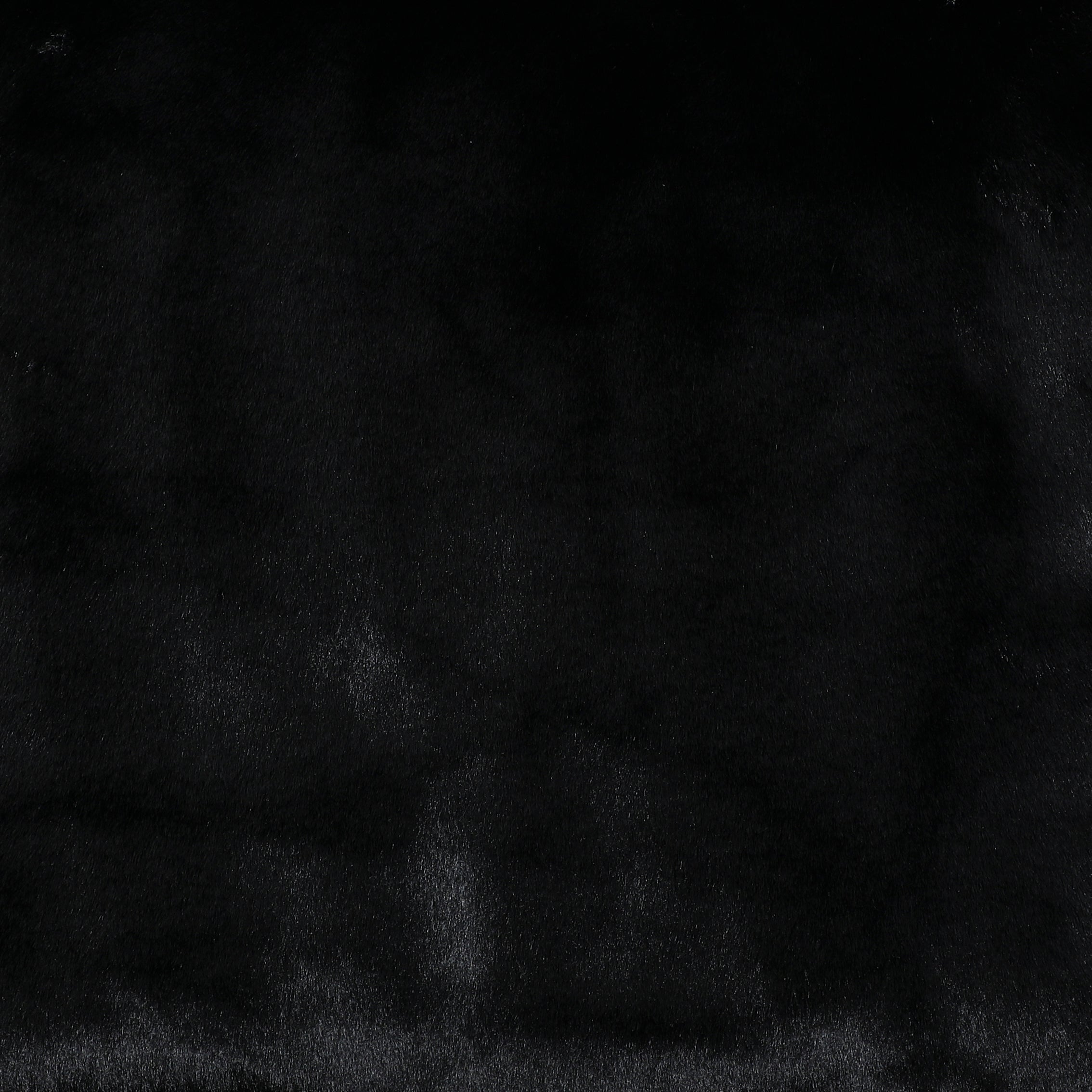 Black Bear Fabric