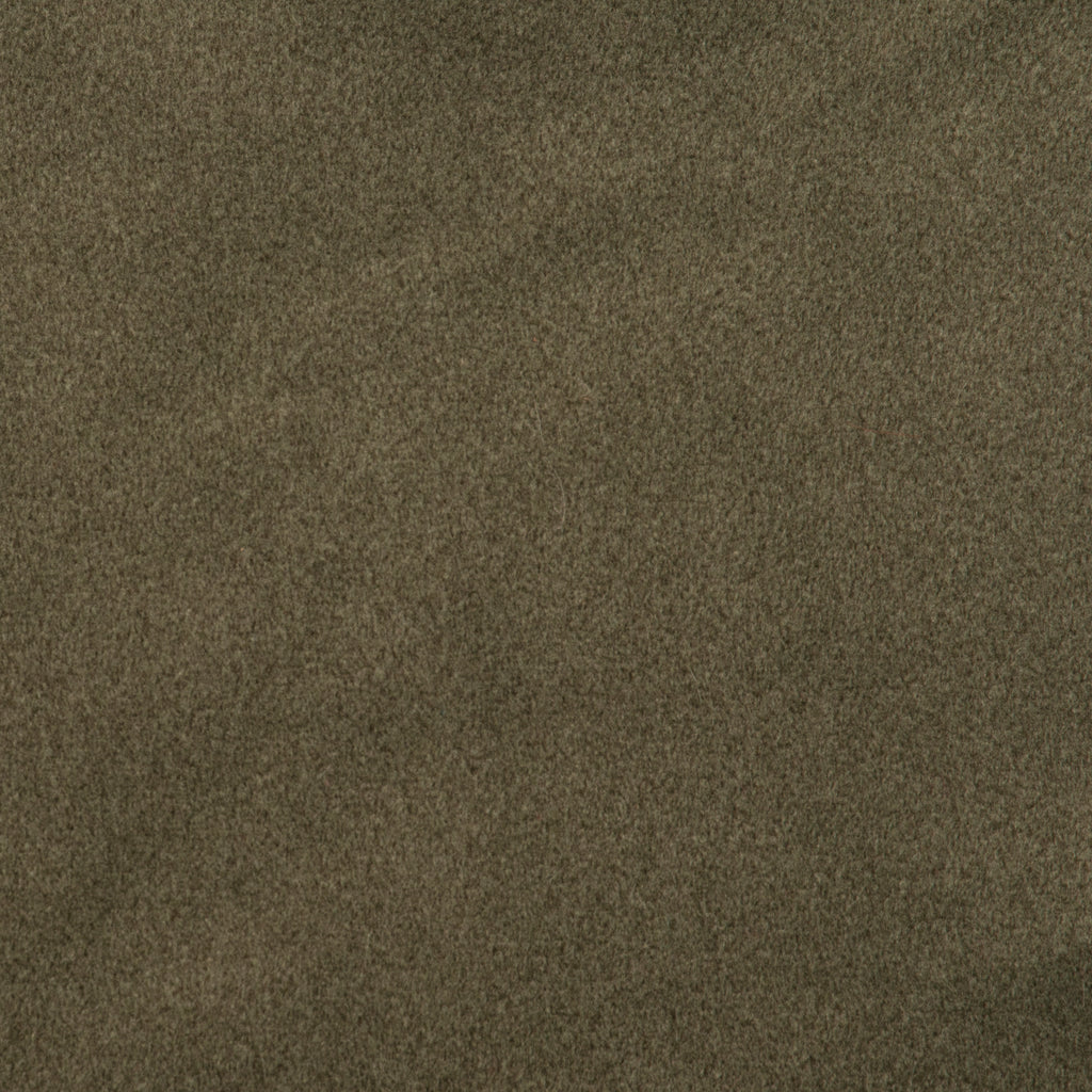 Comfy Olive Fabric