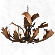 Load image into Gallery viewer, 12 Light Single Tier Fallow Antler Chandelier
