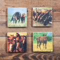 Horses Coaster, Set of 4 Coasters