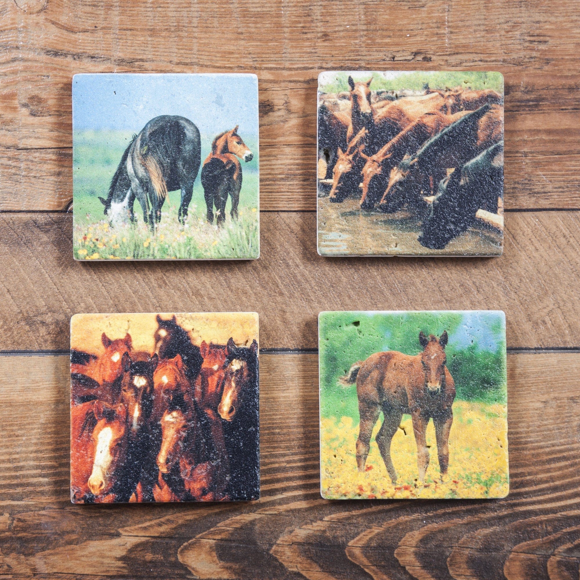 Horses Coaster, Set of 4 Coasters