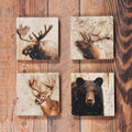Lodge Animal Coaster, Set of 4 Coasters
