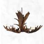 10 Light Medium Moose Antler Chandelier