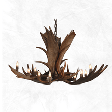 Load image into Gallery viewer, 10 Light Medium Moose Antler Chandelier
