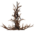 The Olympus 20 Light Elk/Mule Deer/Whitetail Cascade Chandelier