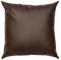 Painted Desert III Euro Sham - 26"x26"
