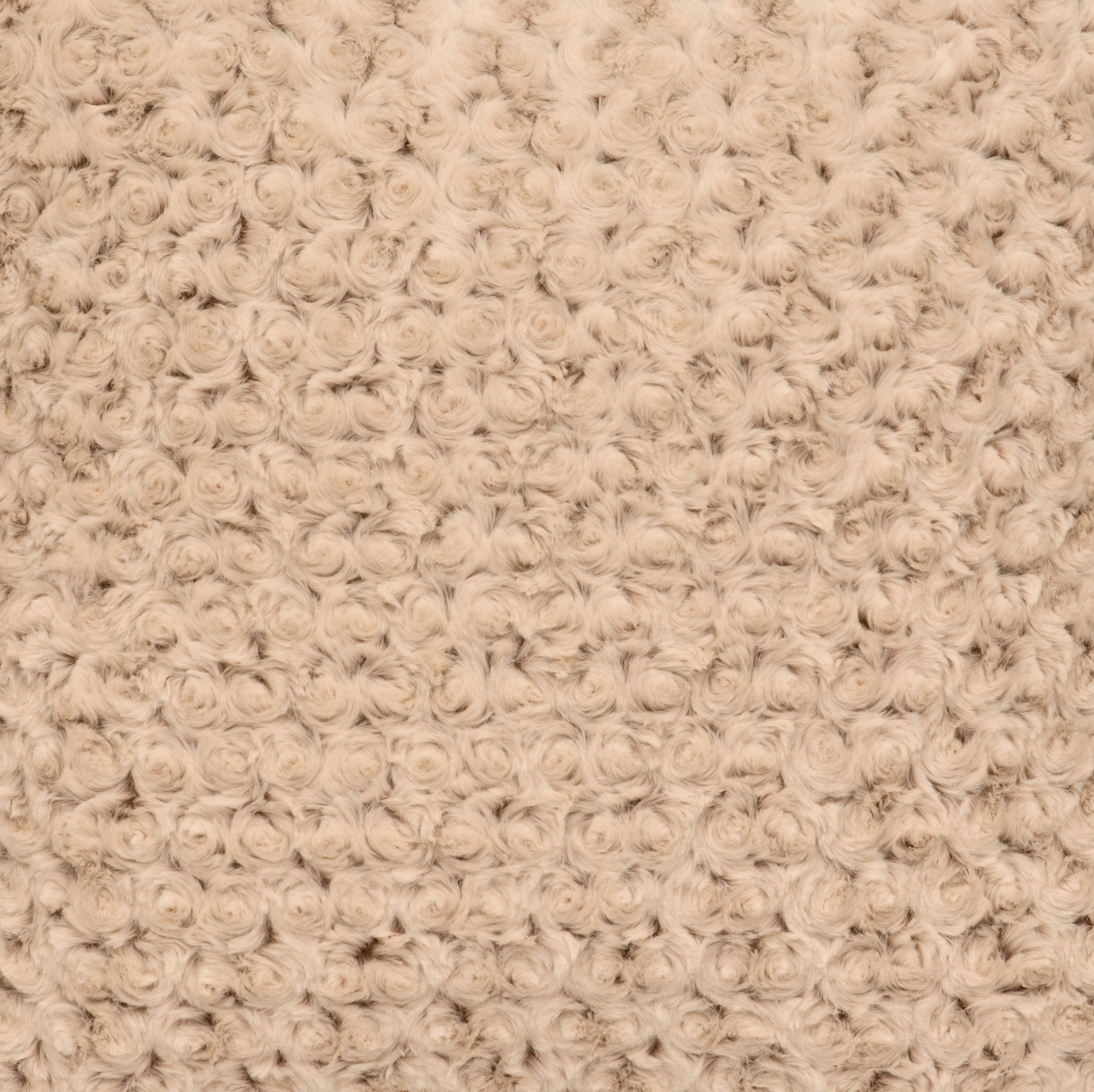 Rosebud Fabric