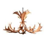 6 Light Fallow Antler Chandelier