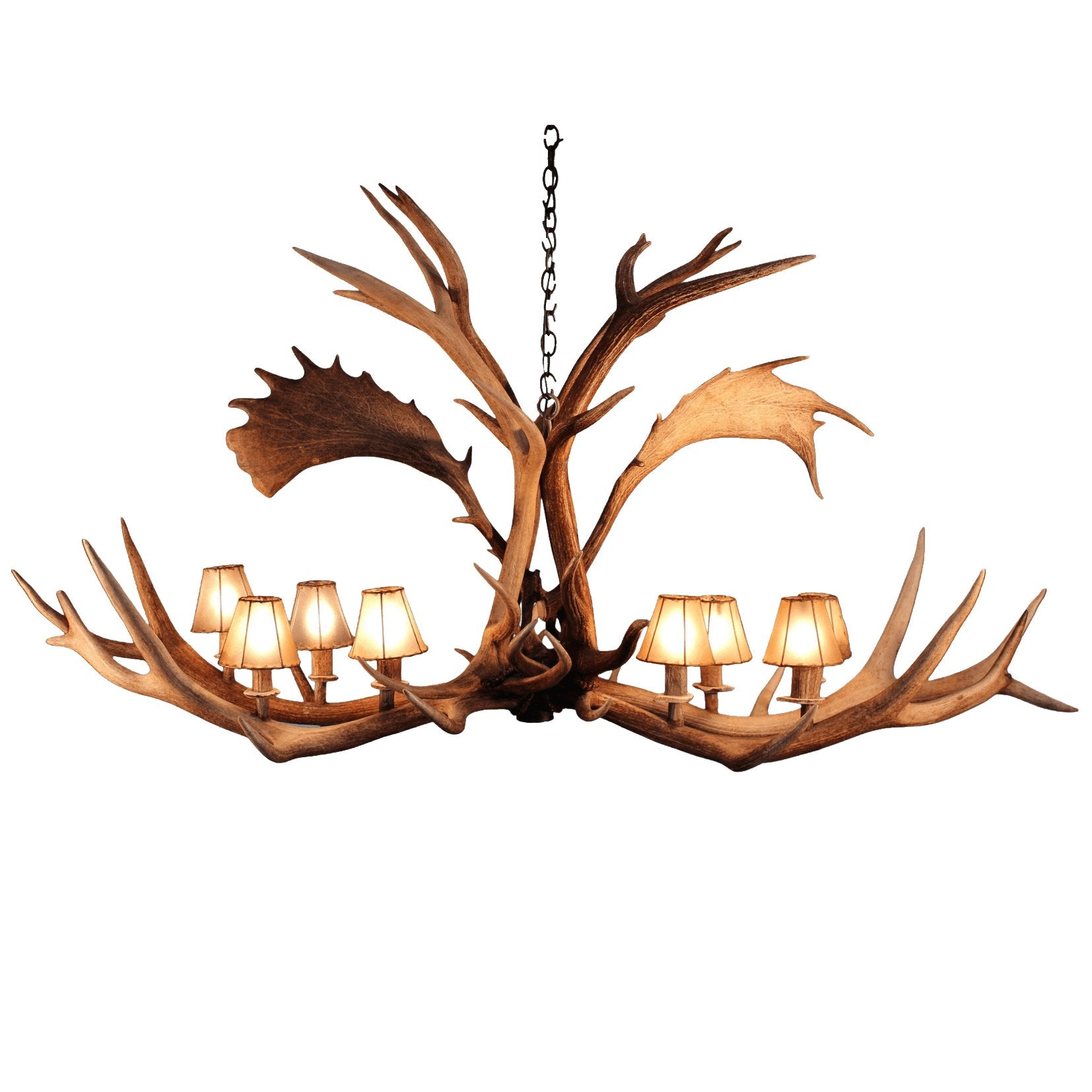 8 Light Elk/Fallow Elongated Antler Chandelier