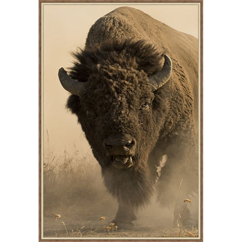 AMERICAN BUFFALO CANVAS