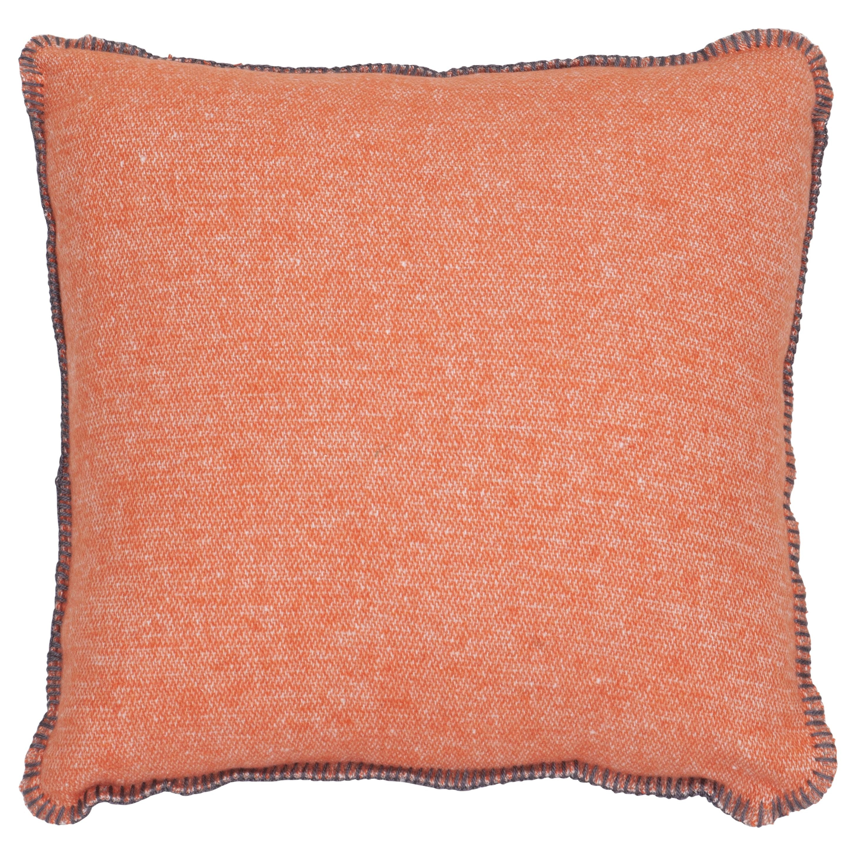 Arizona Winslow Pillow 18" x 18"