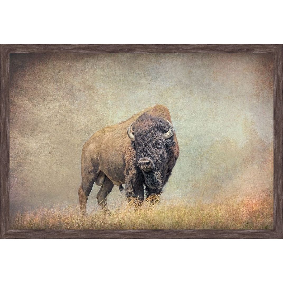 Bison On Hill Canvas