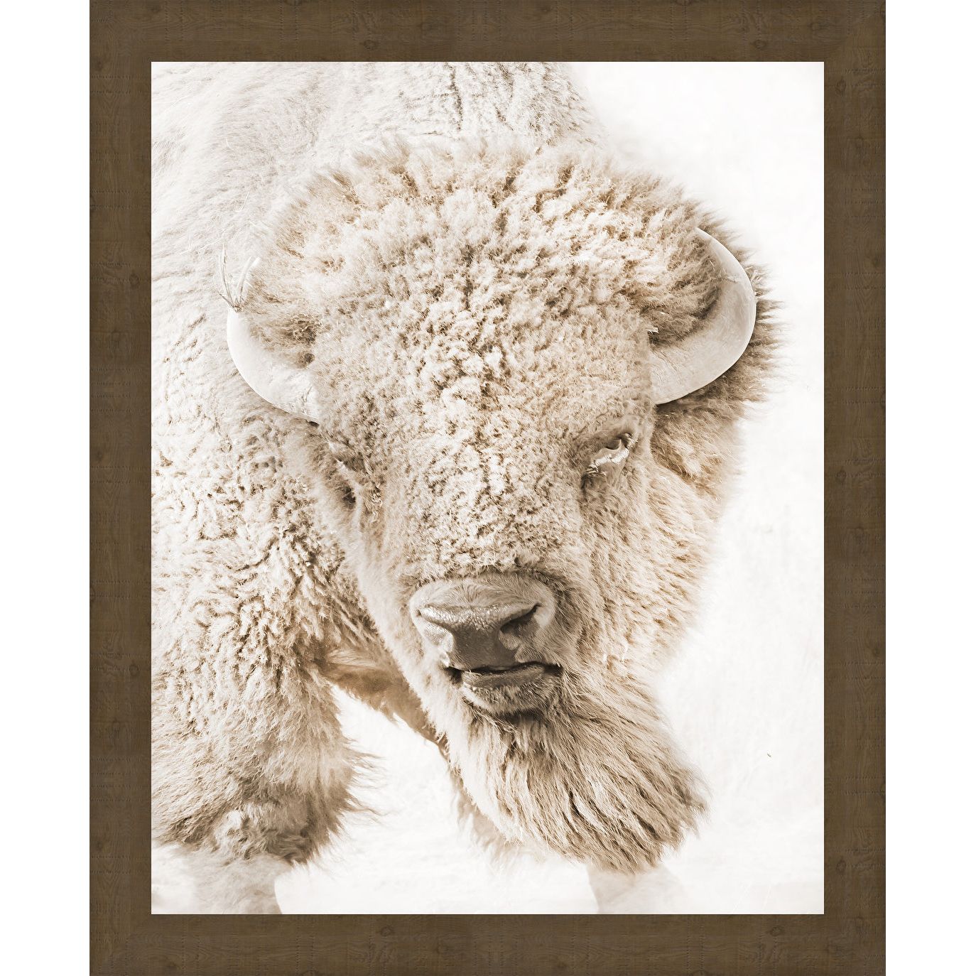 GREAT PLAINS BUFFALO CANVAS