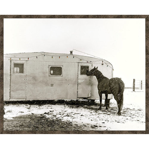 HORSE TRAILER CANVAS