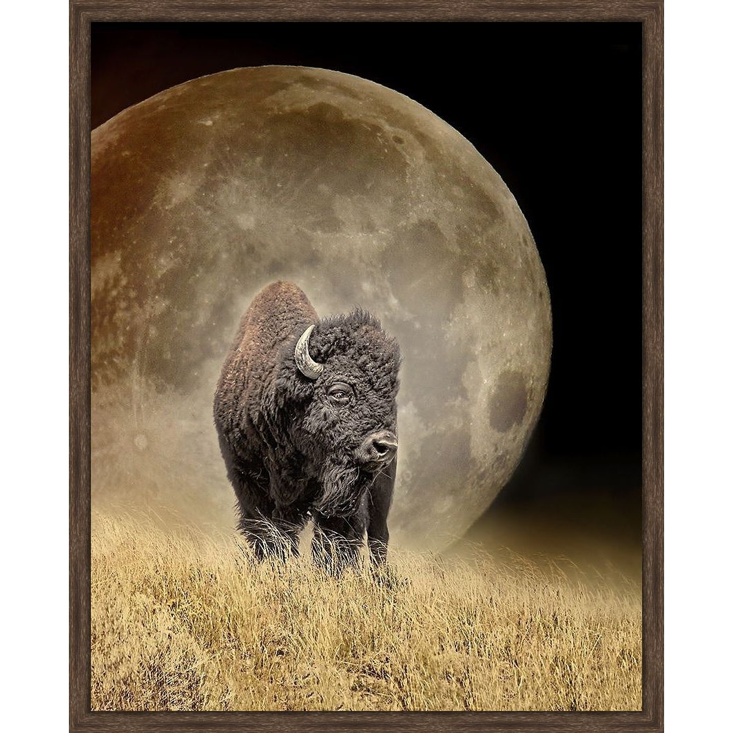 Bison And Moon