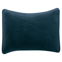 Load image into Gallery viewer, Velvet Pillow
