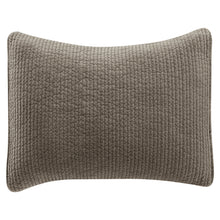 Load image into Gallery viewer, Cotton Velvet Pillow