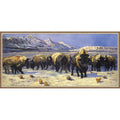 TETON BISON (LIMITED EDITION) CANVAS