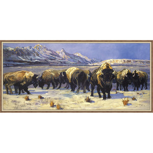 TETON BISON (LIMITED EDITION) CANVAS
