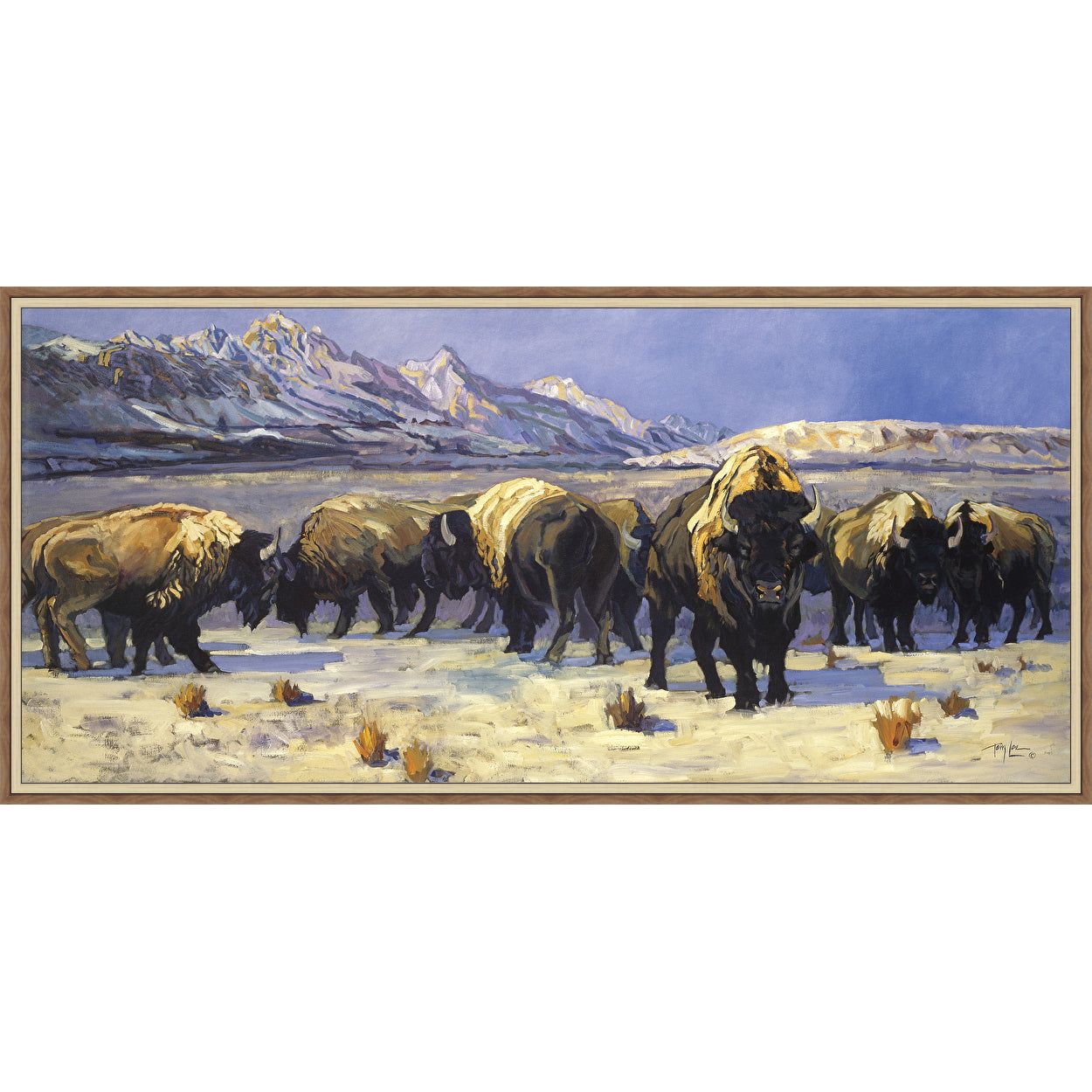 TETON BISON (LIMITED EDITION) CANVAS