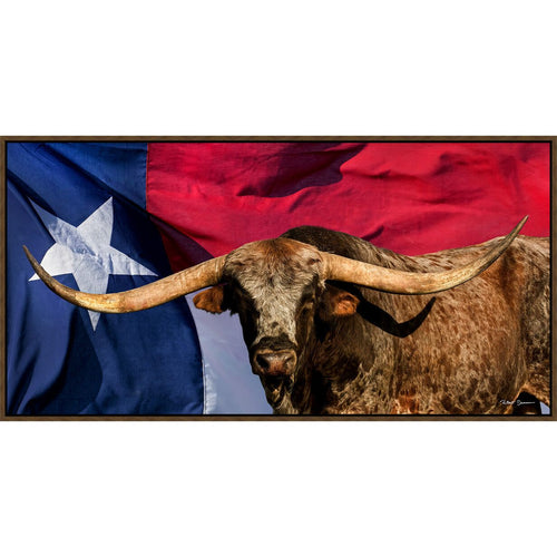 TEXAS PRIDE CANVAS