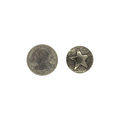 Silver Star Nail Large